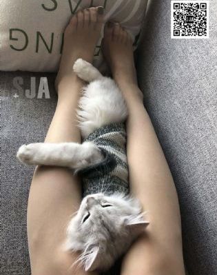 欧美长袖上衣_4K电影在线观看